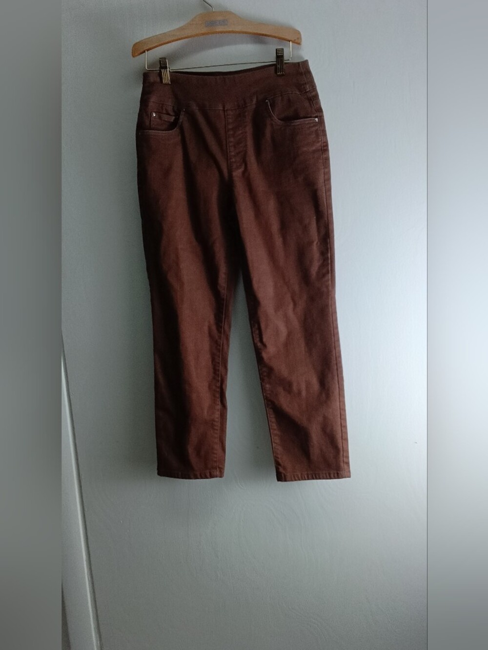 BLAIR Women’s Slim Straight Khaki Pants in Brown SIZE SIZE 8PS